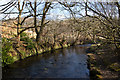 Eagley Brook from the footbridge in BL2 3AN