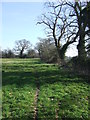 Green Footpath in Wenhaston with Mells Hamlet