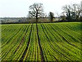 Farmland, Aston Abbotts in LU7 0LF