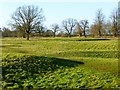 Pasture with earthworks, Aston Abbotts in HP22 4LY