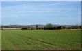 Cropfields near Himley, Staffordshire in DY6 7SA