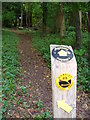Path to Oldlands Wood in KT24 5QW