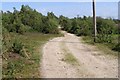 Gravel track on Badminston Common in SO45 1BX