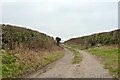 Public bridleway and farm track in RG20 5QD