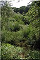 View across the valley to the west of Badminston Common in SO45 1YG