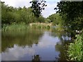 Mopley Pond, Cadland Estate in SO45 1YG