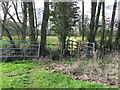 Gate And Footbridge in Blyford