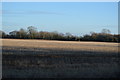 Stubble field by Mill Rd in NR20 3DD