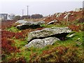 Garn Wen Burial Chambers in SA64 0AQ
