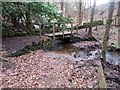Footbridge over Birkley Burn in Target Wood in NE46 4LE