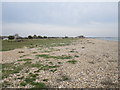 Shingle ridge, Eastney in PO4 9TB