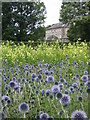 Gardens, Pollok House in G43 1AU