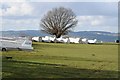 Gliders at Black Mountains Gliding Club in Talgarth Community