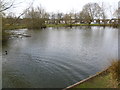 Pond at Theydon Green in CM16 7JA