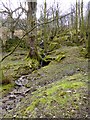 Woodland above Glenridding in CA11 0PY
