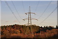 West Somerset : Pylon & Field in EX16 9JH