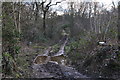 North Devon : Muddy Track in EX16 9JR