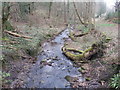 Birkley Burn from the stone footbridge south of Acomb in NE46 4NH