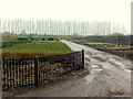 Tree and shrub nursery, Bampton in OX18 2AA