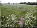 Footpath near Saxby, Yapton in BN18 0RF