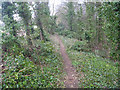 Footpath above Wenthill Plantation in WF8 3HP