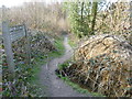 Path alongside Great Britain's Wood in TN14 6HP