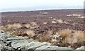 Line of grouse butts, Askwith Moor in LS21 2NH
