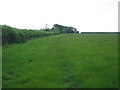 Field, hedge and woodland next to Murtlands Farm in MK43 0AP