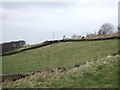 Hillside grazing near Moorbottom House in HX4 0DJ