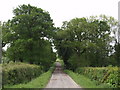 Farm road to Langabeare Barton in EX20 3LW
