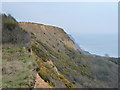 Cliffs above Cain's Folly, Charmouth in DT6 6LU