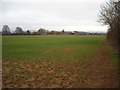 Arable field west of Station Road, Shrivenham in SN6 8BA