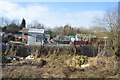 Allotments by the railway line in WV14 9TA