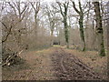 Bridleway through Park Thorns in MK18 4AH