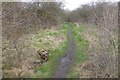 Path across railway land in NG10 2EG