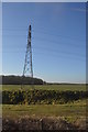 Pylon by the railway in PE6 7HJ