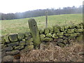 Cut Mark Lodge Lane Sheffield Gatepost wider view in S10 4LT