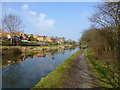 The Bridgewater Canal near Norton in WA7 6SP
