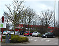 M6: Trees at Sandbach service station in CW11 2LU