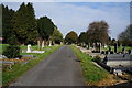 Cemetery off Sloe Lane, Beverley in HU17 8FG