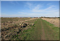 Bridleway along the old railway line in PE16 6SR