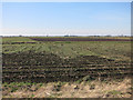 Farmland by the former railway line in PE16 6SR