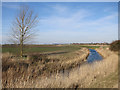 Fenton Lode (or Twenty Foot Drain) in PE16 6SR
