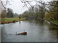 River Anton, Goodworth Clatford in SP11 7HL