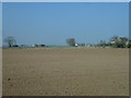 Drilled farmland at Kirton Meeres in Lincolnshire in PE20 1PS