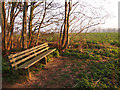 Bench on Finger Bread Hill in IP11 0SE