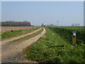 Bull Lane looking east from Coupledyke Lane in PE20 1AP