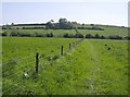 Pasture in the Frome valley in BA11 2PG