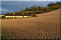 Houses beside bare field at New Town in Broad Chalke