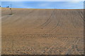 Bare field to the horizon in Broad Chalke